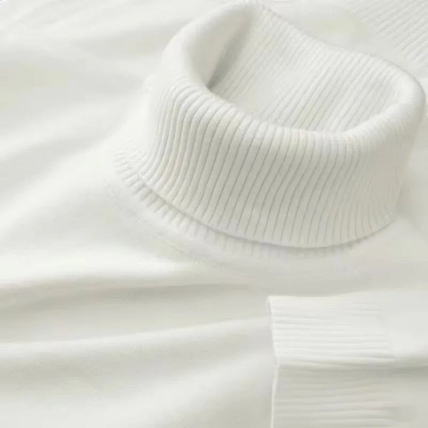 Ardent | Classic Turtleneck Jumper For Men